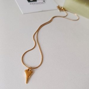 Img 20250927 231634 Optimized 250